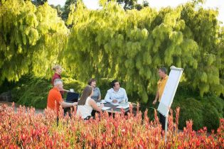 PINK-STRIP-PIC-2 PINK-STRIP-PIC-2